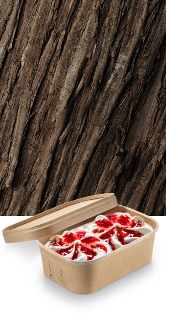 Écorce d’arbre et barquette menu en kraft garnie Écorce d’arbre et barquette menu en kraft garnie