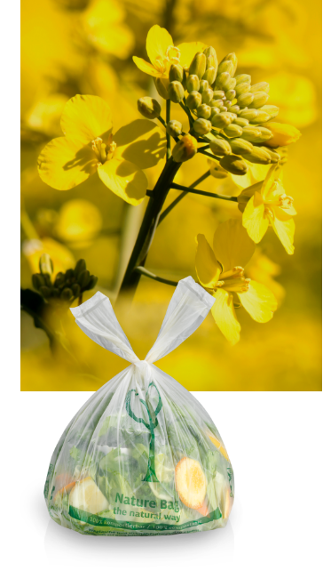 Plante de colza avec sac en Mater-Bi Plante de colza avec sac en Mater-Bi