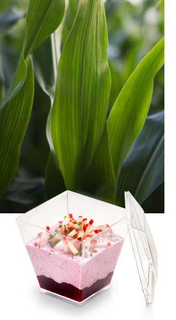 Mais-Pflanze und gefüllter PLA-Dessertbecher