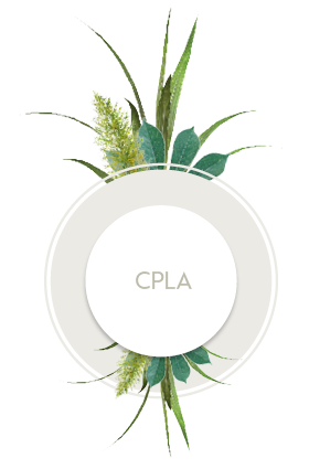 Icon mit Pflanze CPLA