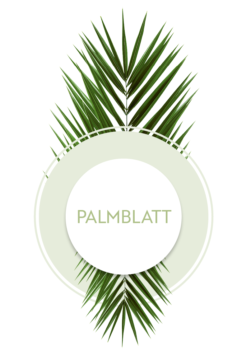 Icon mit Pflanze Palmblatt