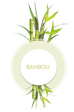 Icône avec plante bambou