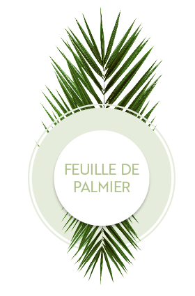 Icône avec plante feuille de palmier