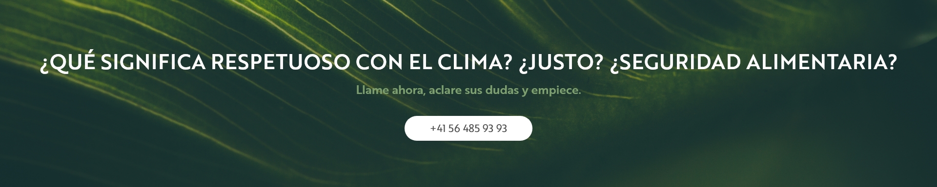 ¿Qué significa respetuoso con el clima? ¿Justo? ¿Seguridad alimentaria? ¿Qué significa respetuoso con el clima? ¿Justo? ¿Seguridad alimentaria?