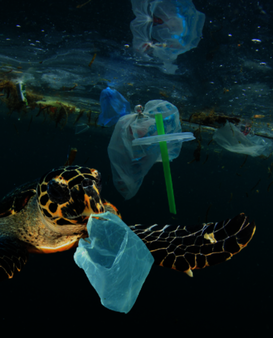 Plastic waste in the ocean with turtle