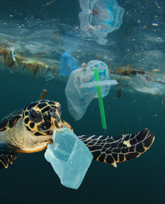 Residuos plásticos en el mar con tortuga
