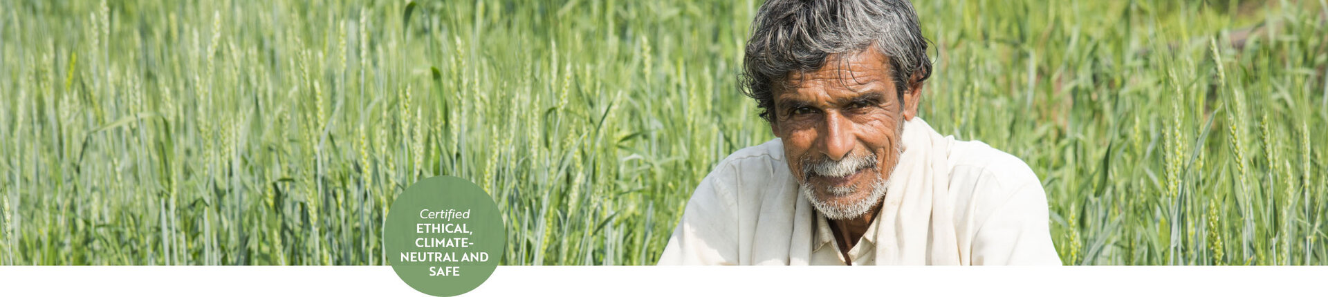 Grainfield with farmer