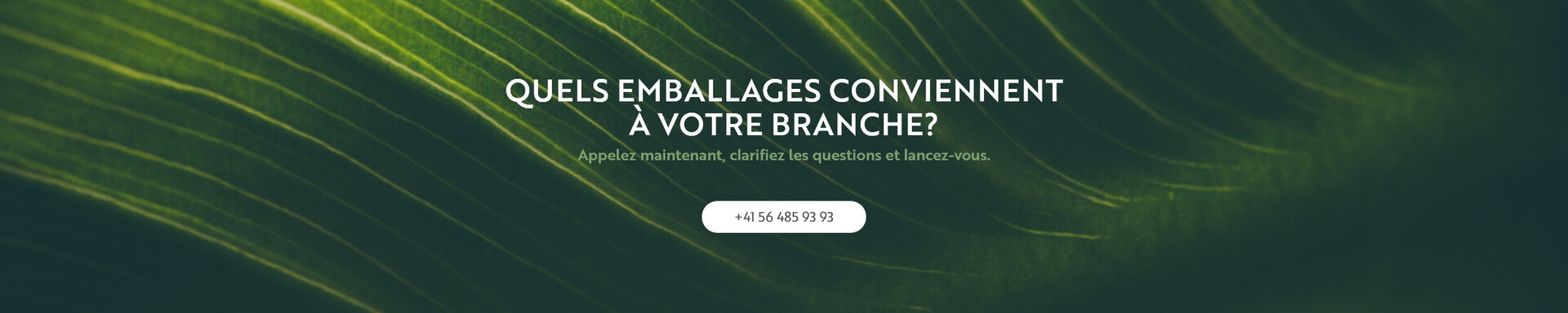 Quels emballages conviennent à votre branche?