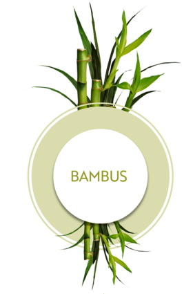 Icon mit Pflanze Bambus