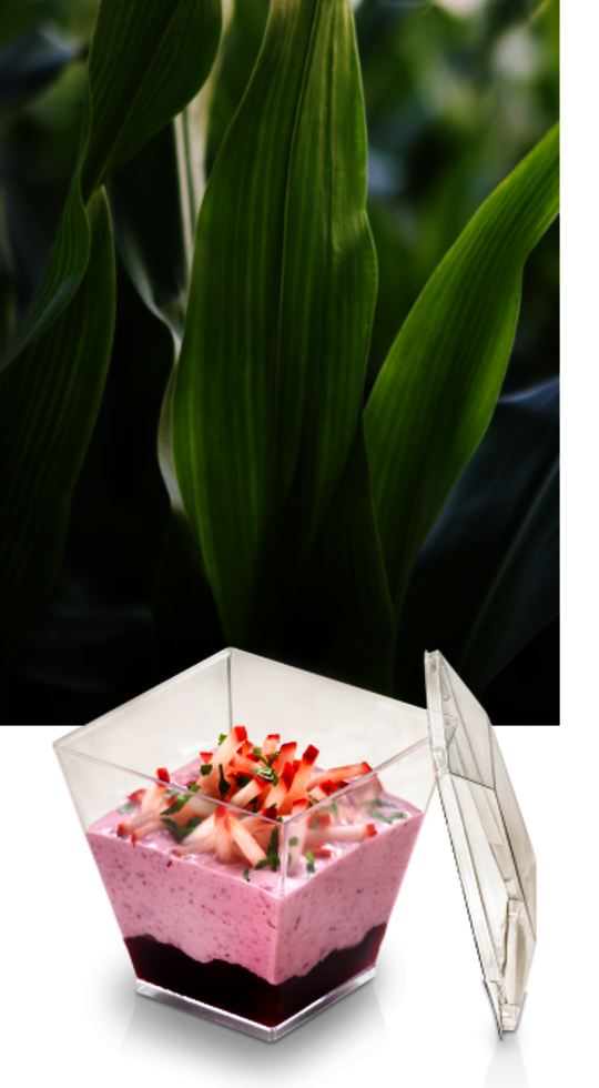 Planta de maíz y copa de postre PLA Mais-Pflanze und gefüllter PLA-Dessertbecher