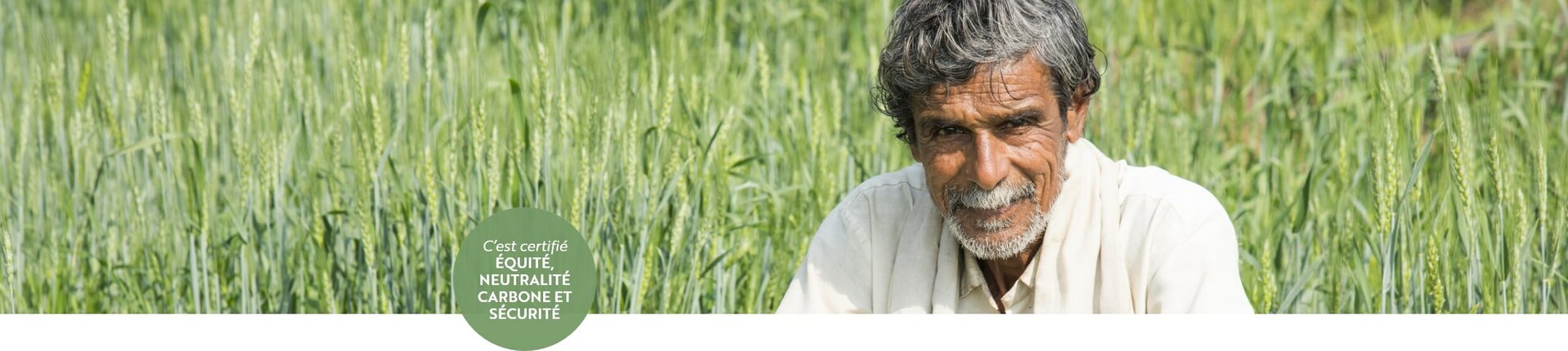 Champ de céréales avec agriculteur