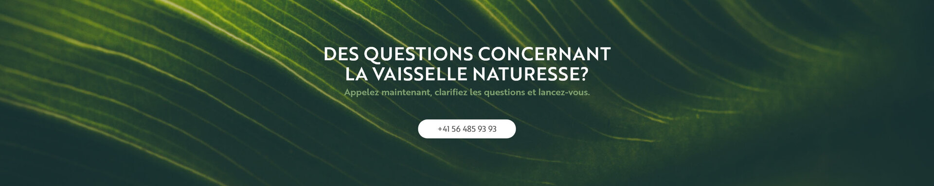 Des questions concernant la vaisselle naturesse?