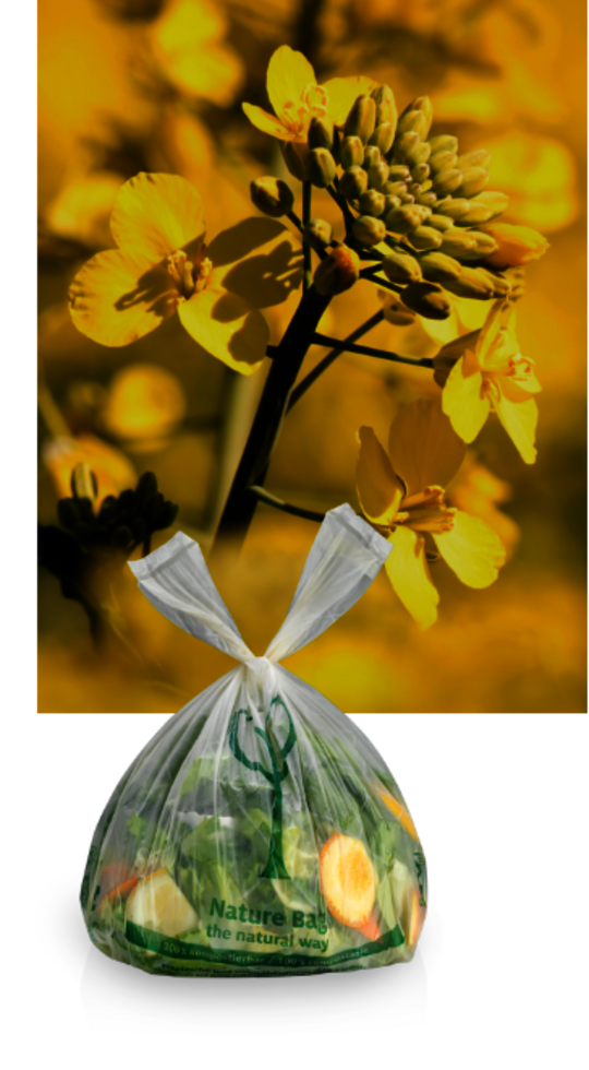 Rapeseed plant and mater-bi bag