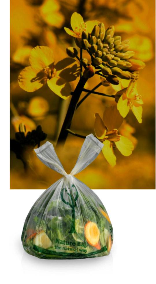Planta de colza con saco Mater-Bi Raps-Pflanze mit Mater-Bi-Bag