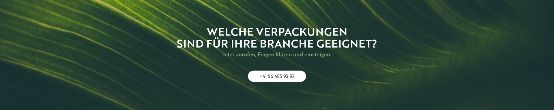 Welche Verpackungen sind für Ihre Branche geeignet?