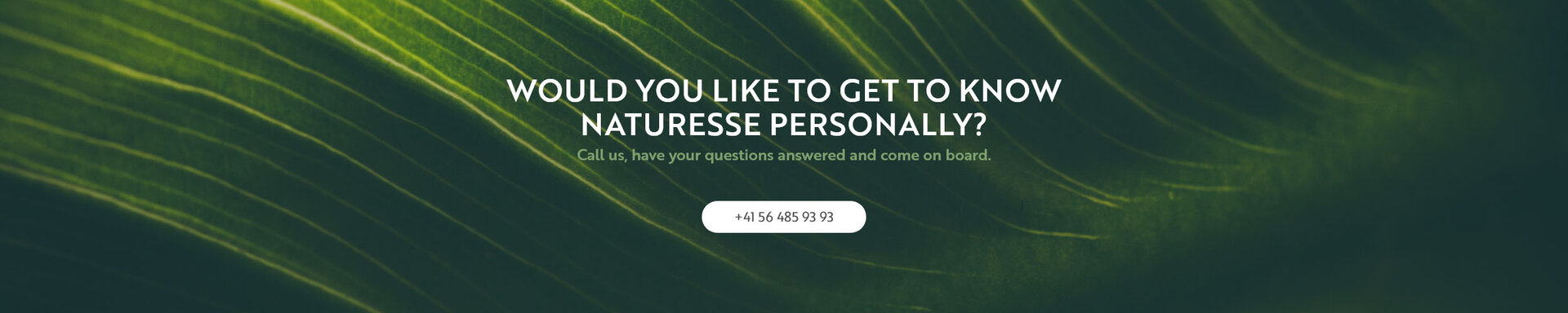 Would you like to get to know naturesse personally?