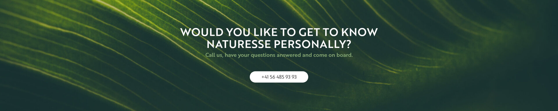 Would you like to get to know naturesse personally? Would you like to get to know naturesse personally?