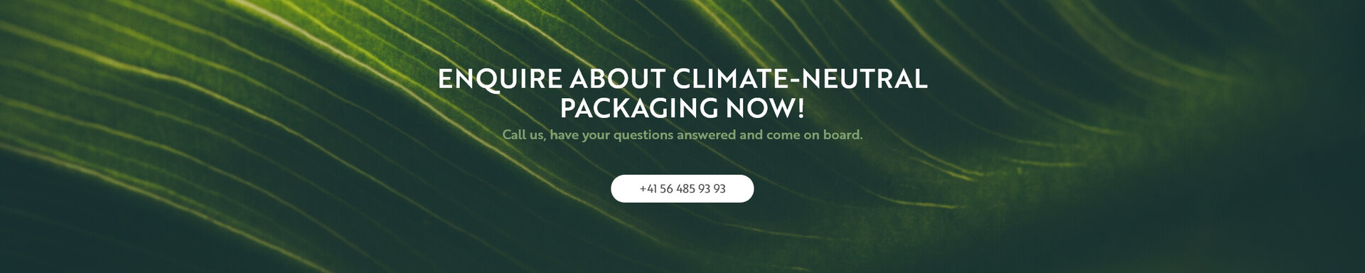 CTA-Content-Blog-ClimatePartner-EN