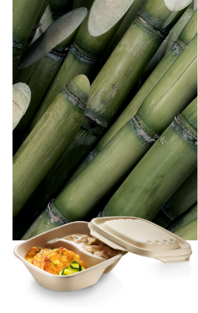 Bastones de azúcar con cáscara de caña y tapa Bastones de azúcar con cáscara de caña y tapa