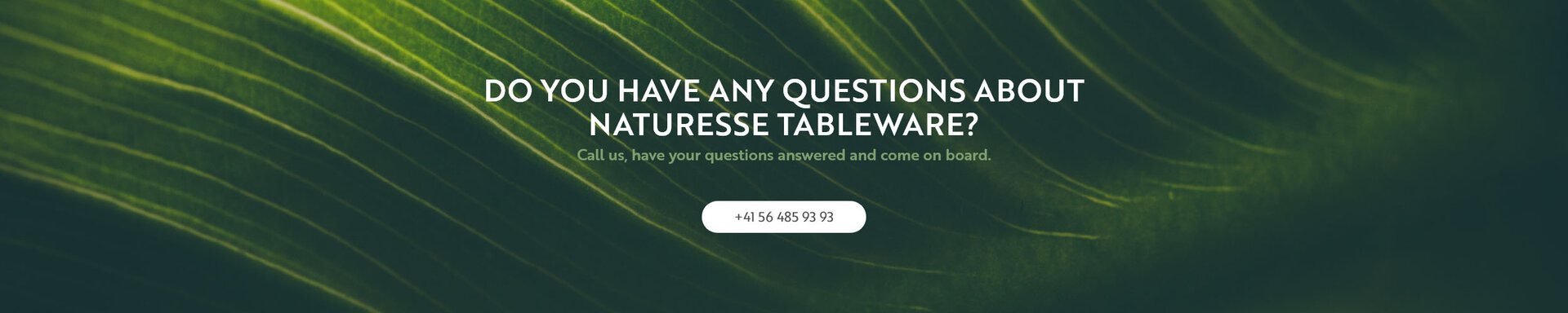 Do you have any questions about naturesse tableware?