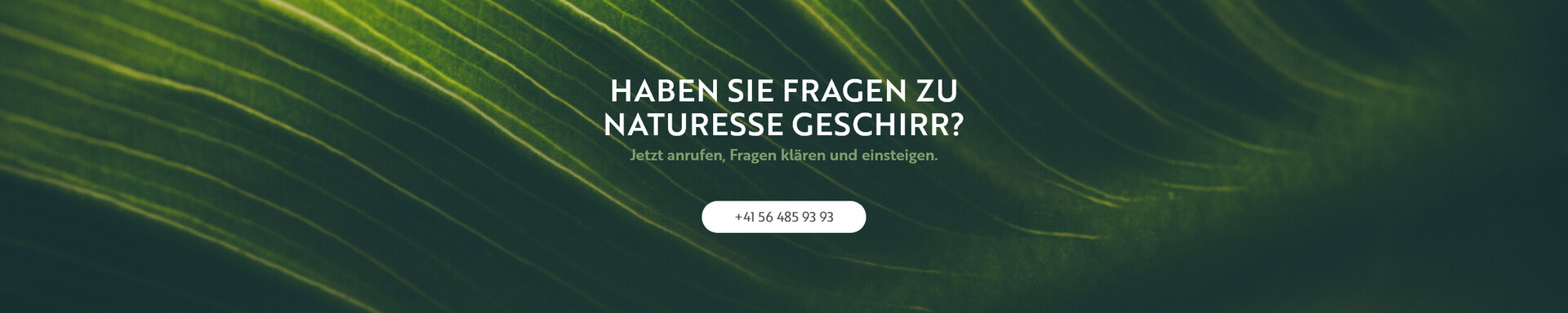 Haben Sie Fragen zu plastikfreiem Geschirr?