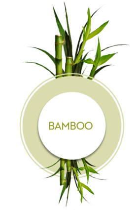 Icon with plants bamboo